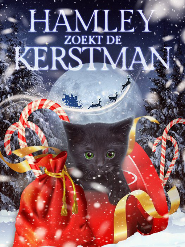 Hamley zoekt de kerstman