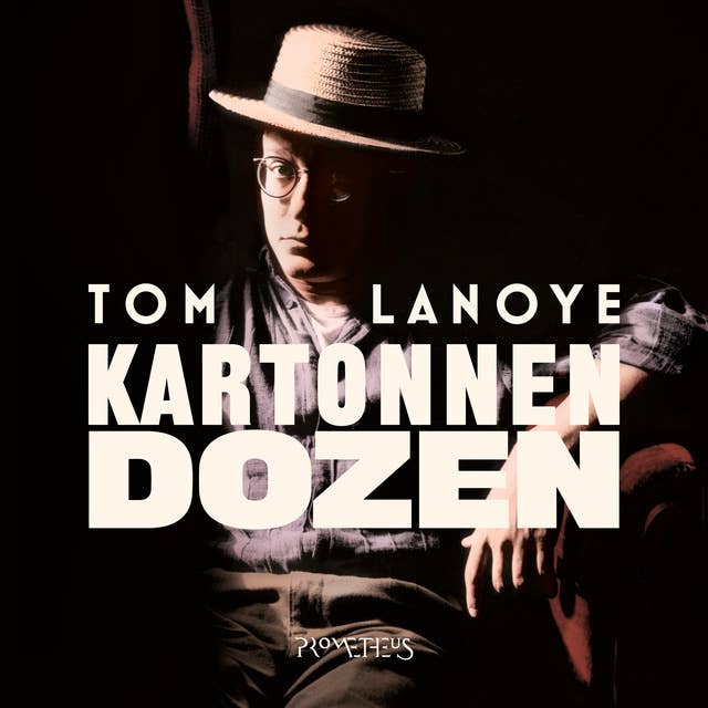 Tom Lanoye - Kartonnen dozen
