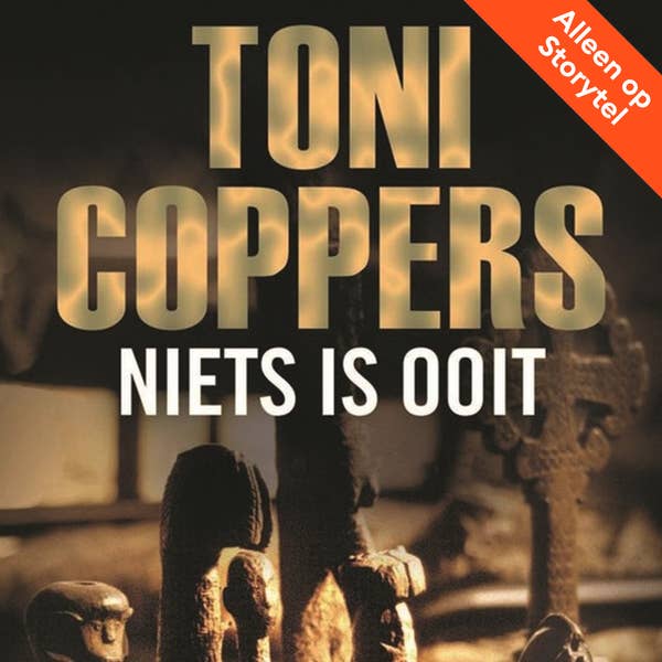 Niets is ooit