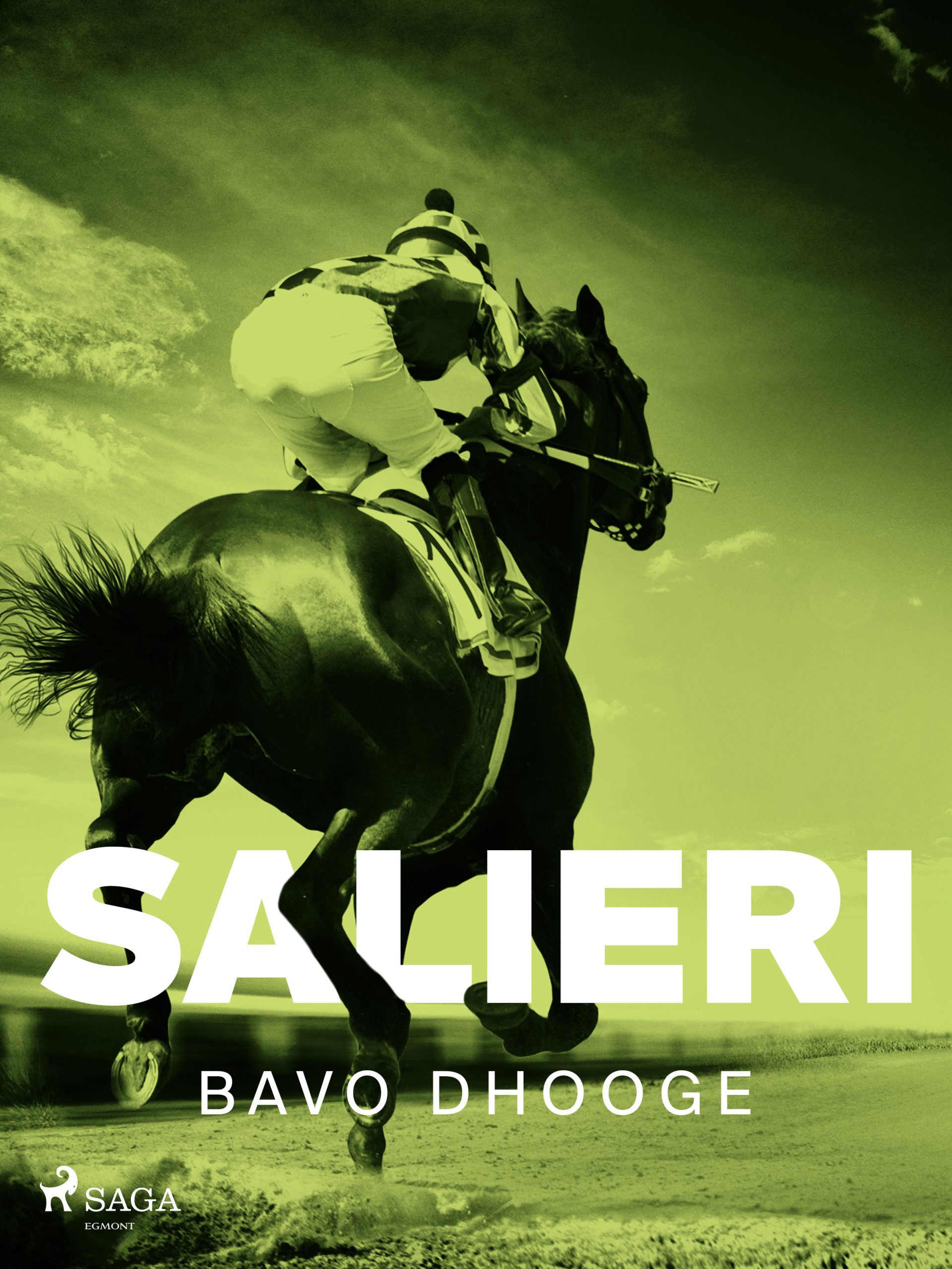 Salieri - Bavo Dhooge