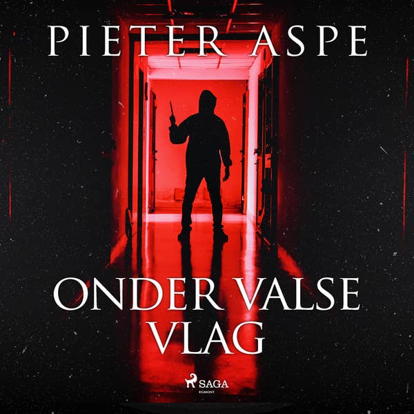 Pieter Aspe - Onder valse vlag