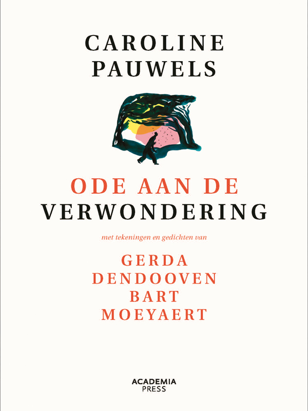 Caroline Pauwels - Ode aan de verwondering